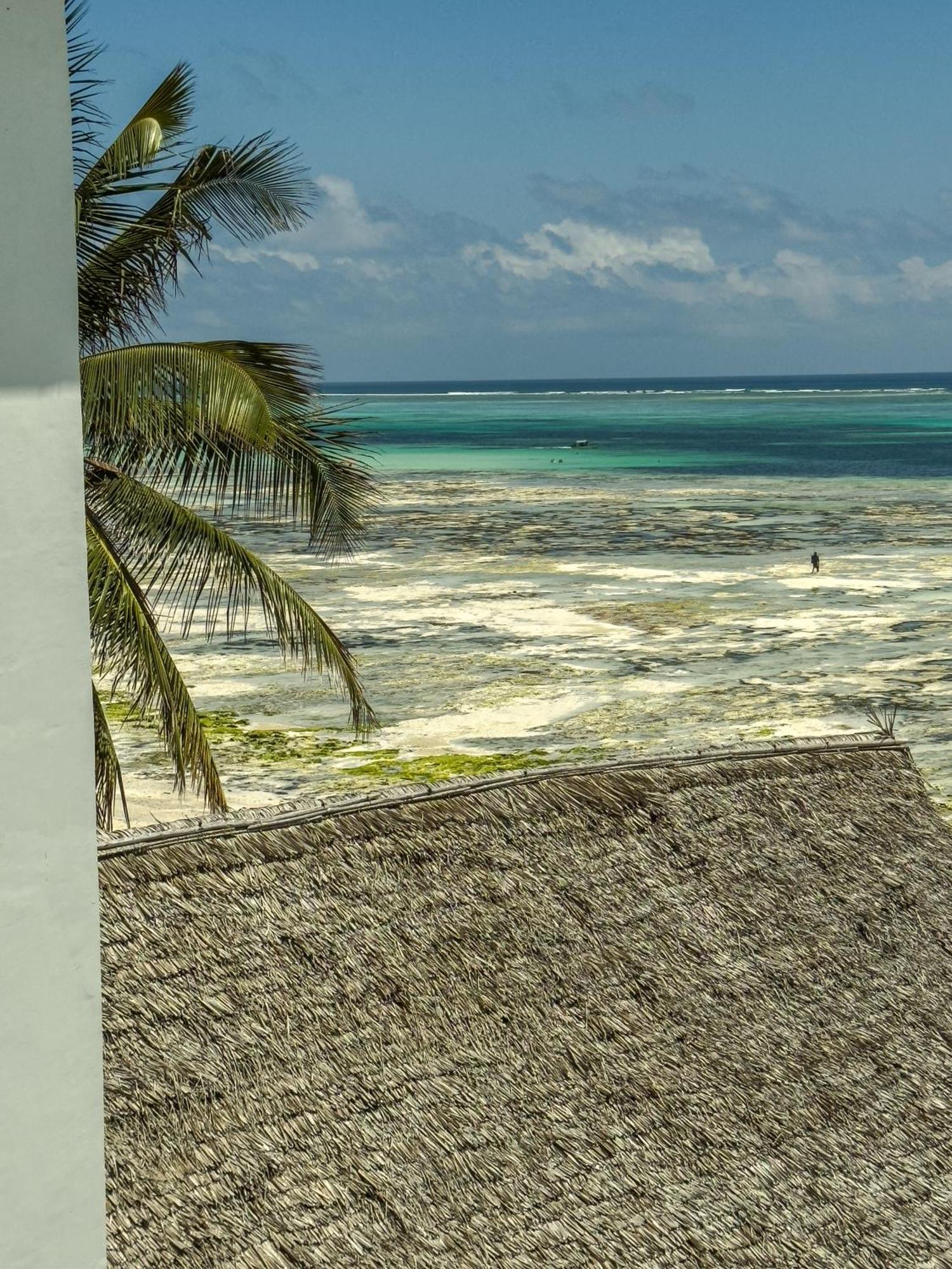 Mia Boutique Hotel Michamvi 外观 照片