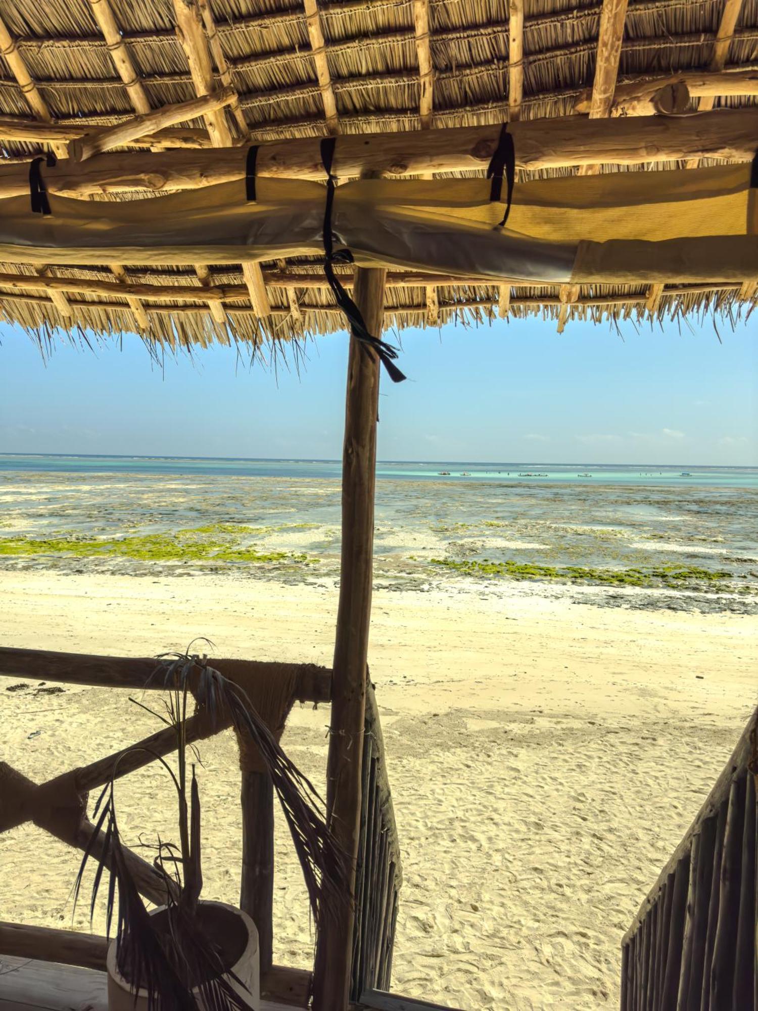 Mia Boutique Hotel Michamvi 外观 照片